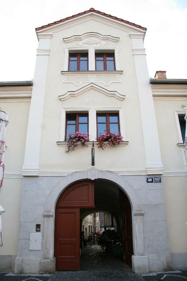 Penzion U Kapra Roudnice nad Labem Exterior photo